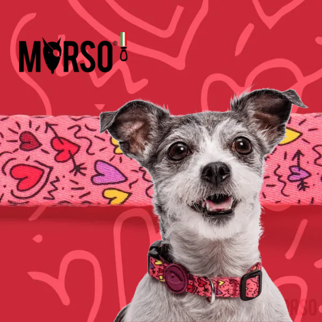 Morso