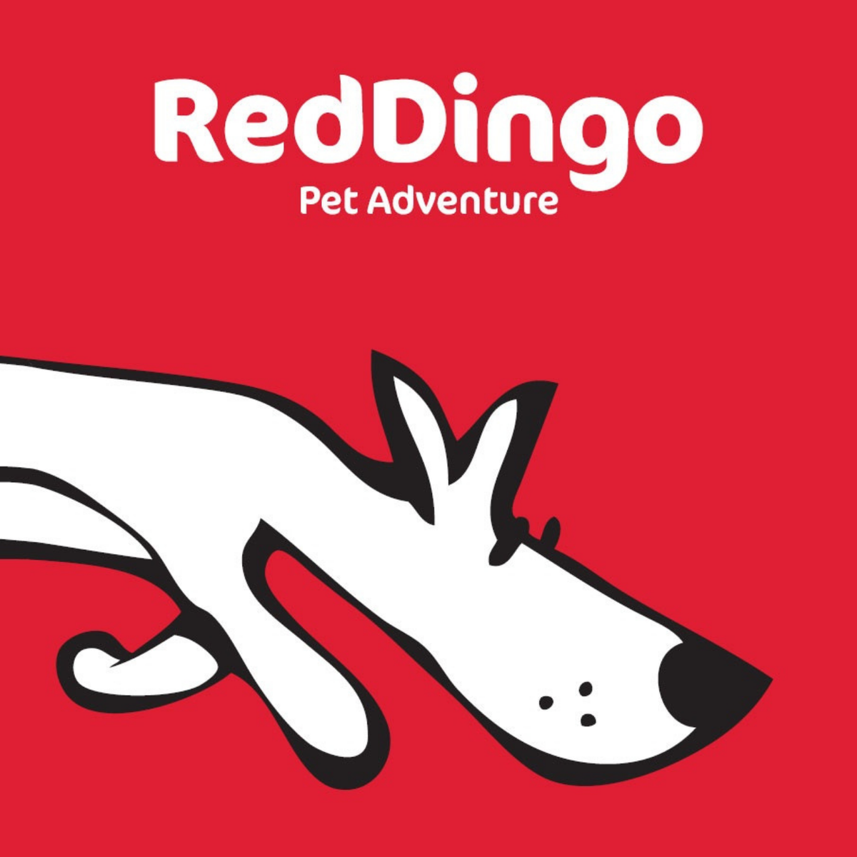 Red Dingo
