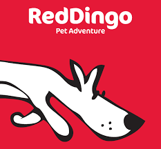 Red Dingo