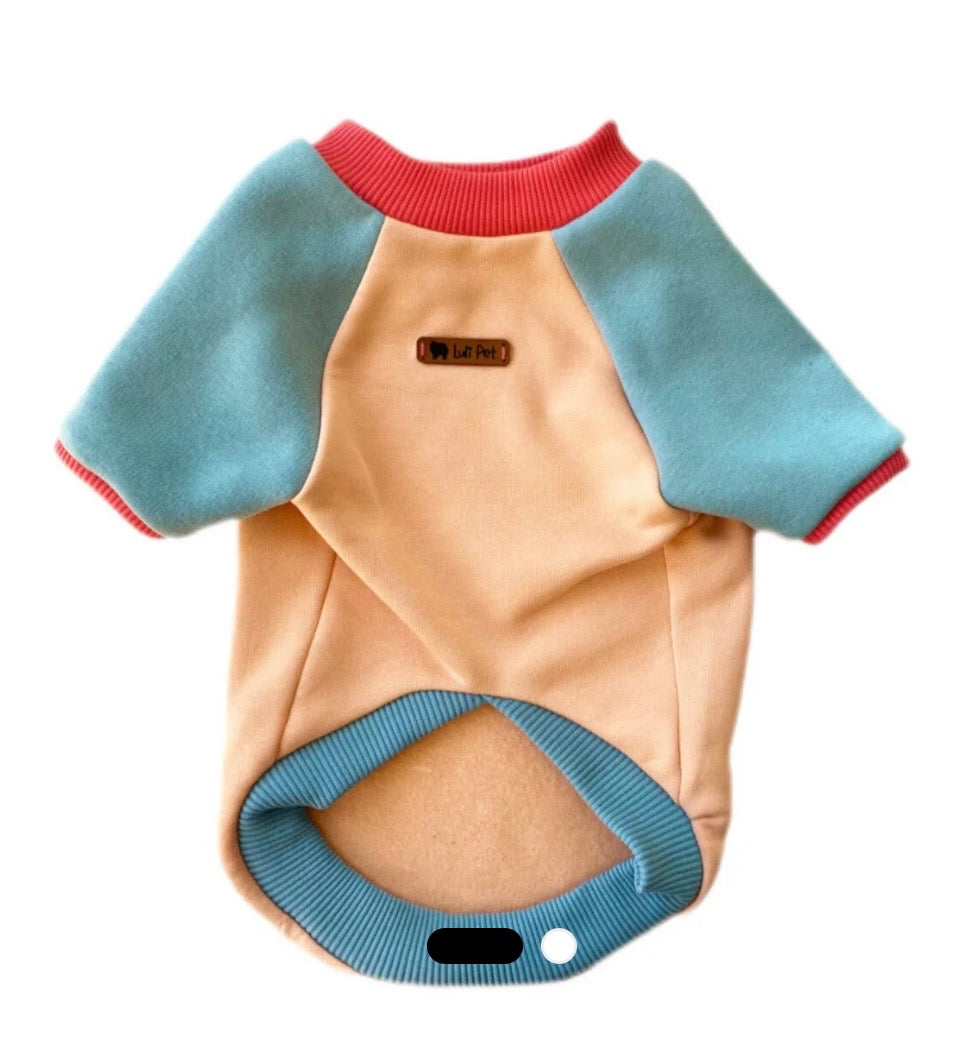 Luli Pet Blok Renk Sweatshirt