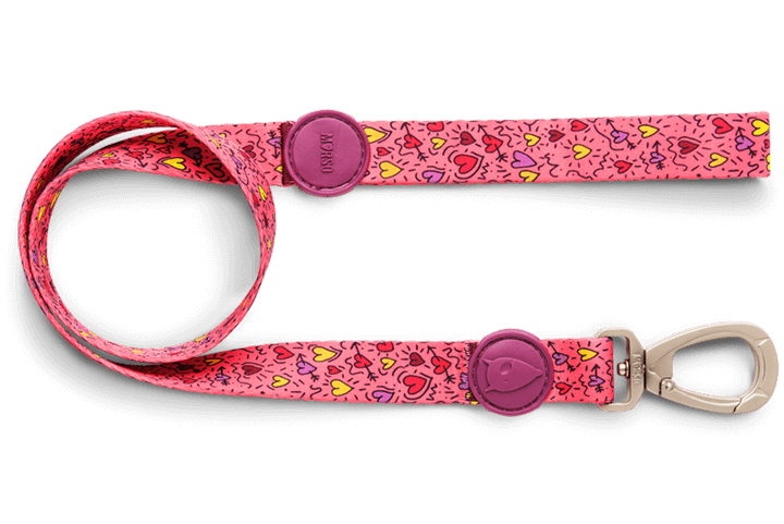 Pink Think Standart Gezdirme İpi image 1