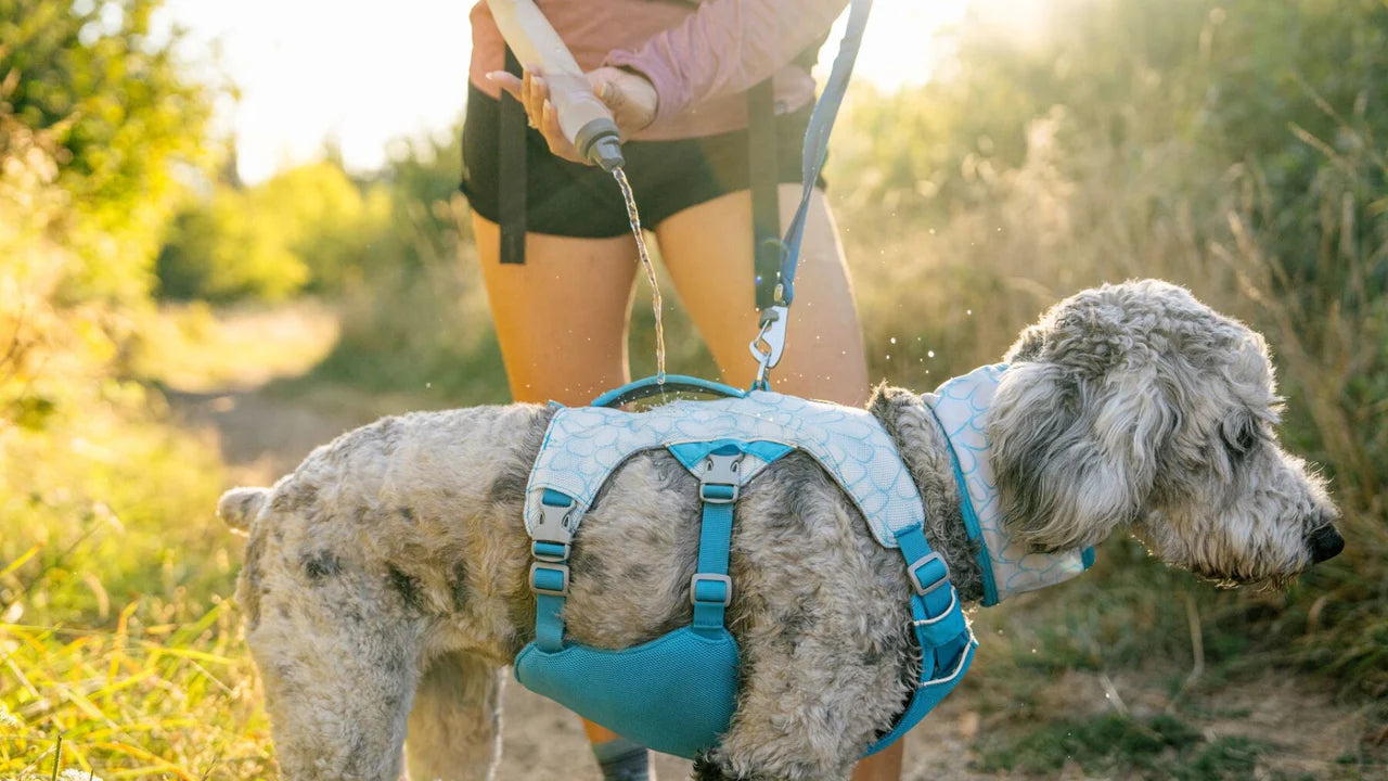 Ruffwear Swamp Soğutucu Göğüs Tasması image 8