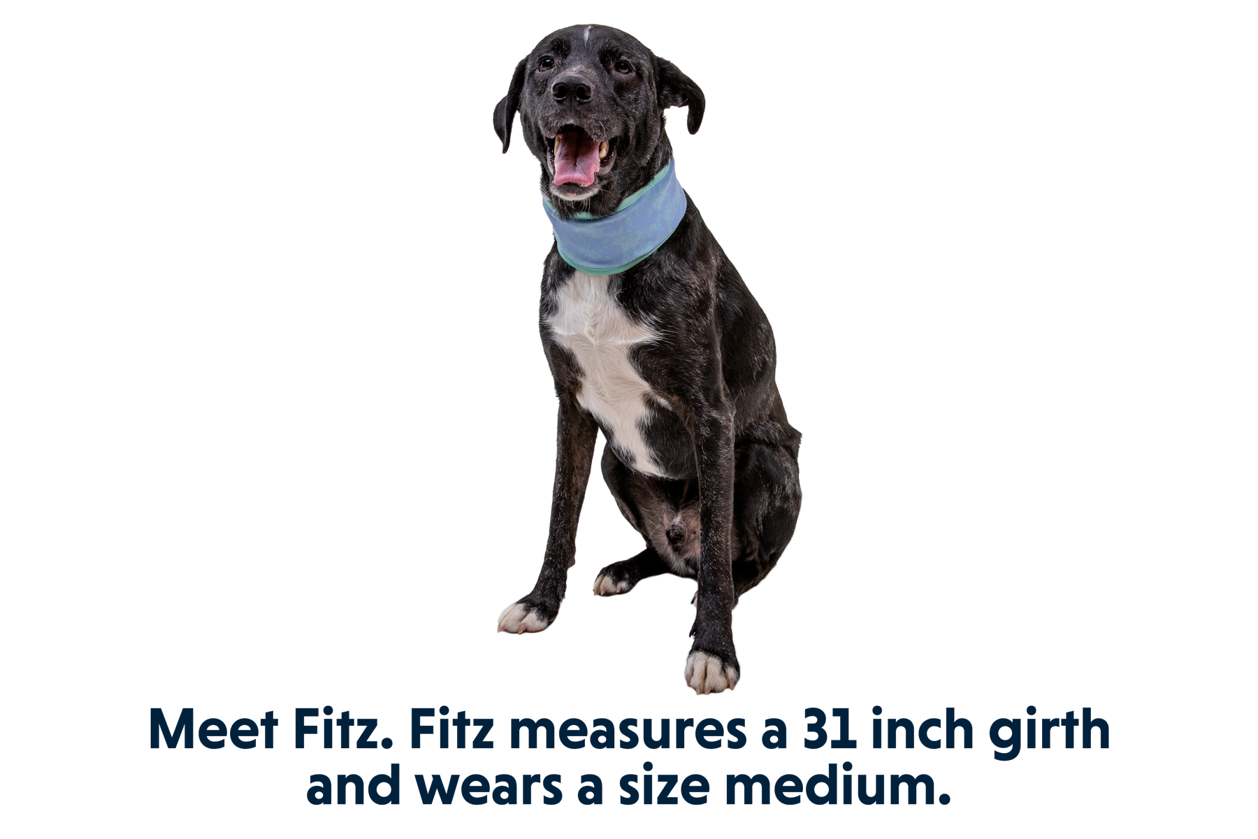 Ruffwear Swamp Cooler™ Neck Gaiter