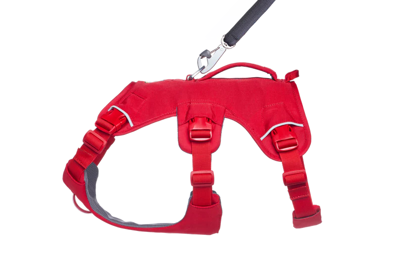Ruffwear Web Master Göğüs Tasması image 3