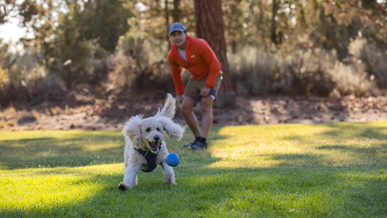 Ruffwear Huckama Köpek Oyuncağı image 6