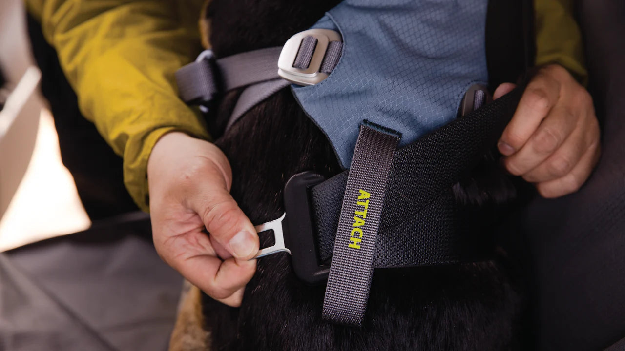 Ruffwear Load Up™ Car Harness image 8