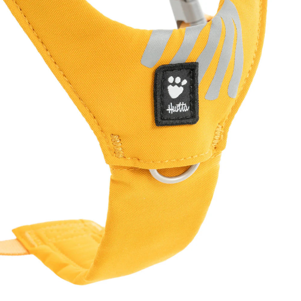 Seeker Harness