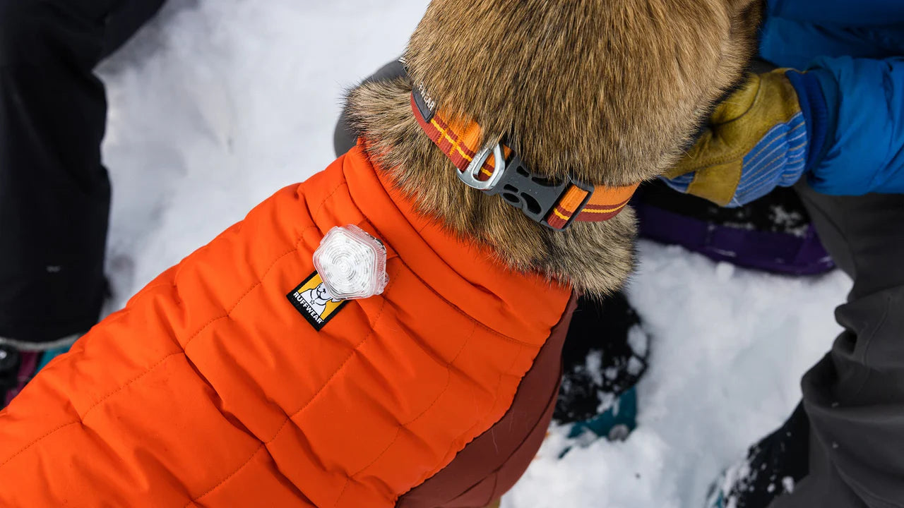 Ruffwear Powder Hound™ Köpek Montu image 8