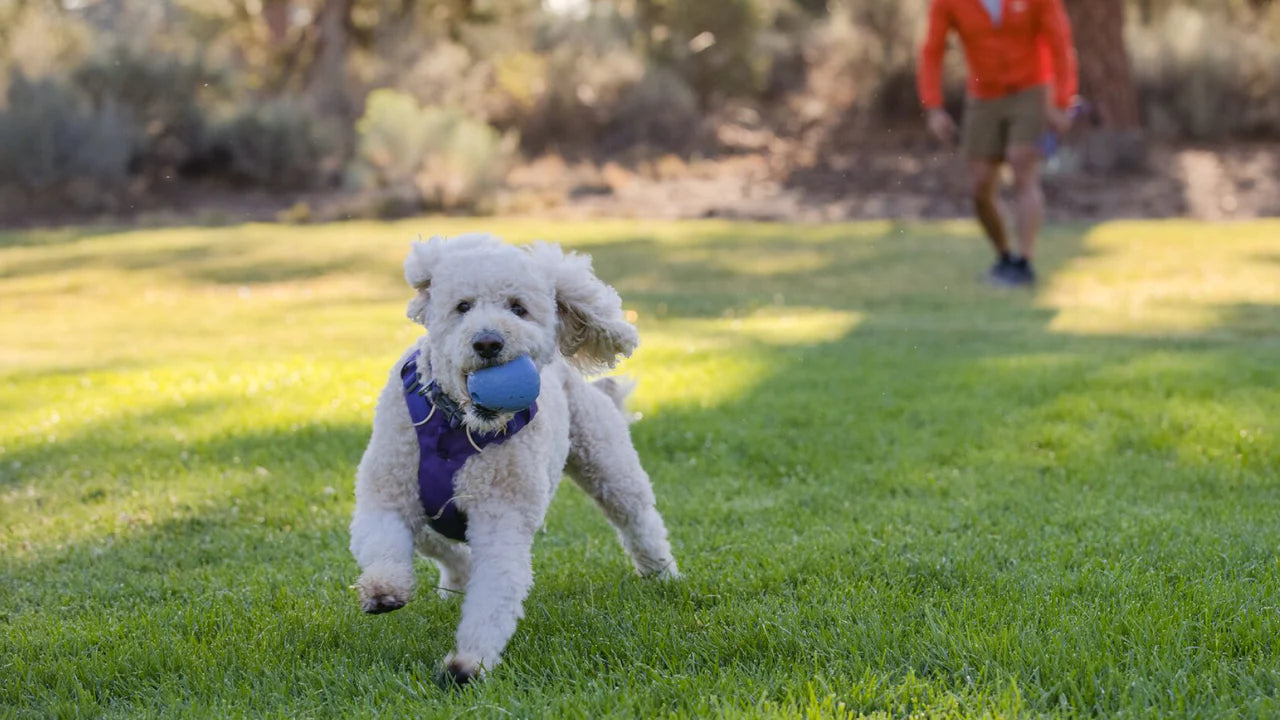 Ruffwear Huckama Köpek Oyuncağı image 4