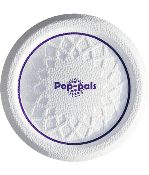 Gigwi Flying Disc Frizbi image 0