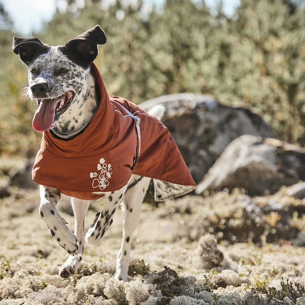 Hurtta Extreme Warmer ECO Köpek Montu image 3
