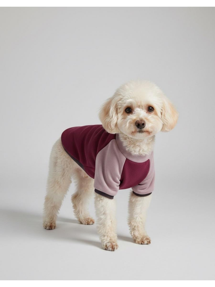 Luli Pet Blok Renk Sweatshirt