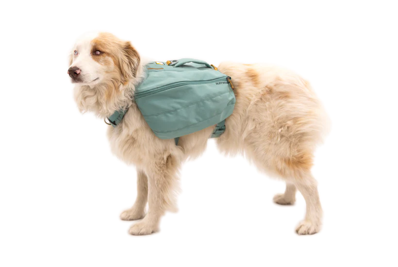 Ruffwear Front Range™ Day Pack Köpek Sırt Çantası image 8