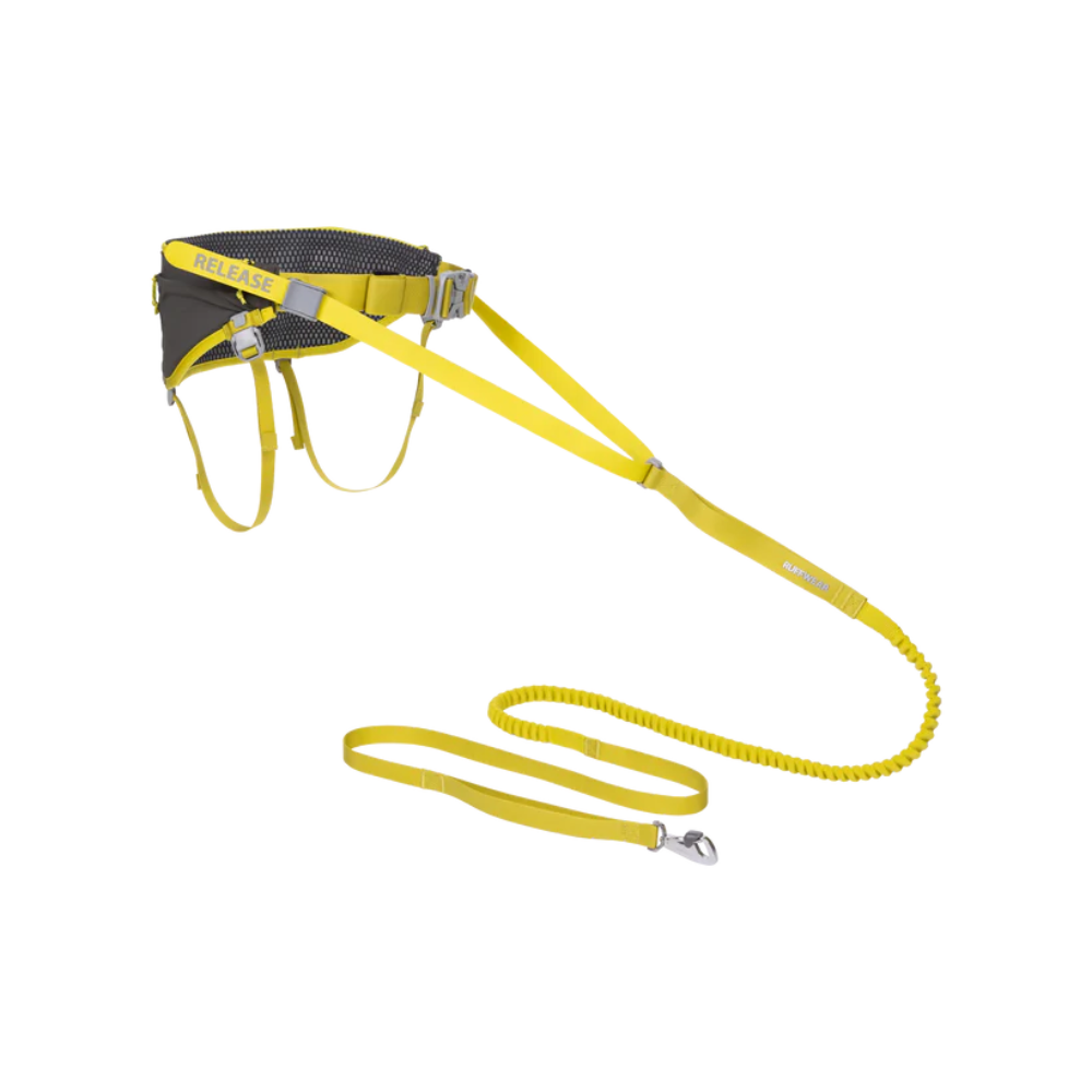 Omnijore™ Dog Joring System image 0