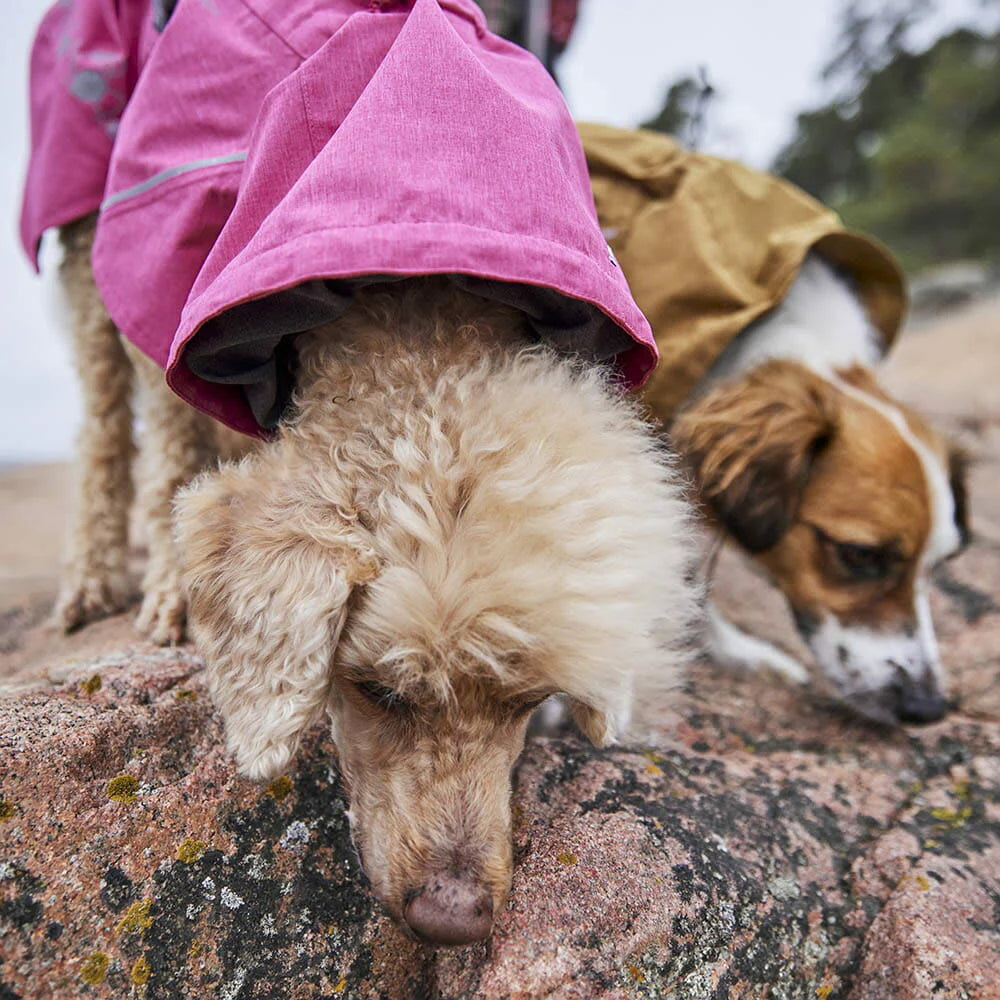 Hurtta Monsoon Yağmurluk II ECO image 7