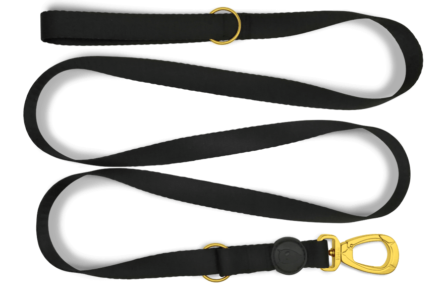 Gold Caviar Çok İşlevli Gezdirme İpi image 0
