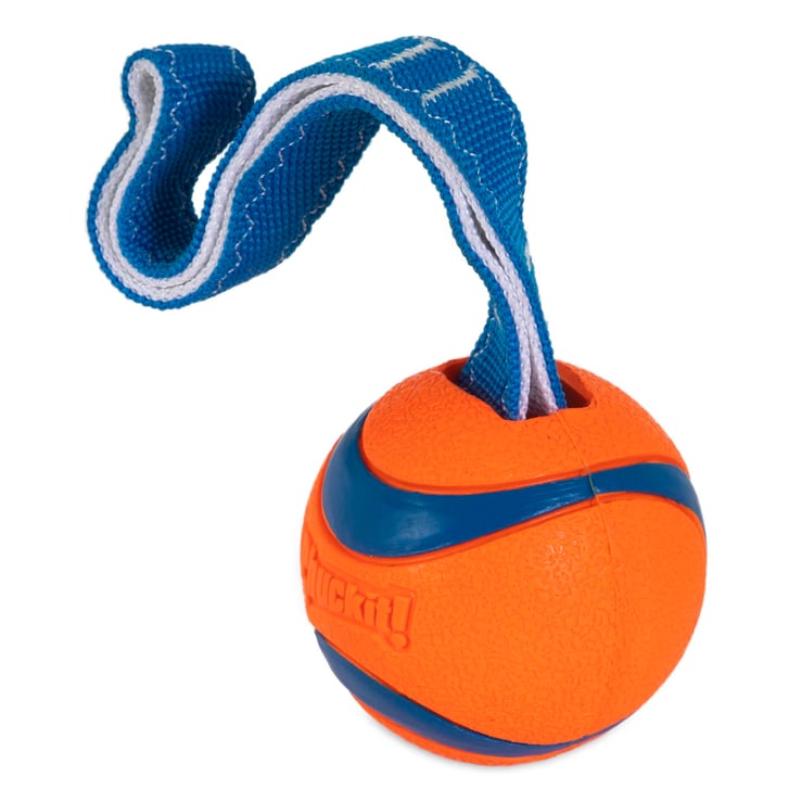 Chuckit! Air Fetch Ball Köpek Oyun Topu (XL Boy) image 4
