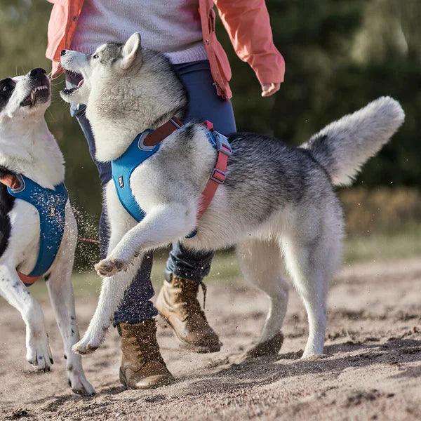 Hurtta Weekend Warrior ECO Isıtıcı Göğüs Tasması image 1