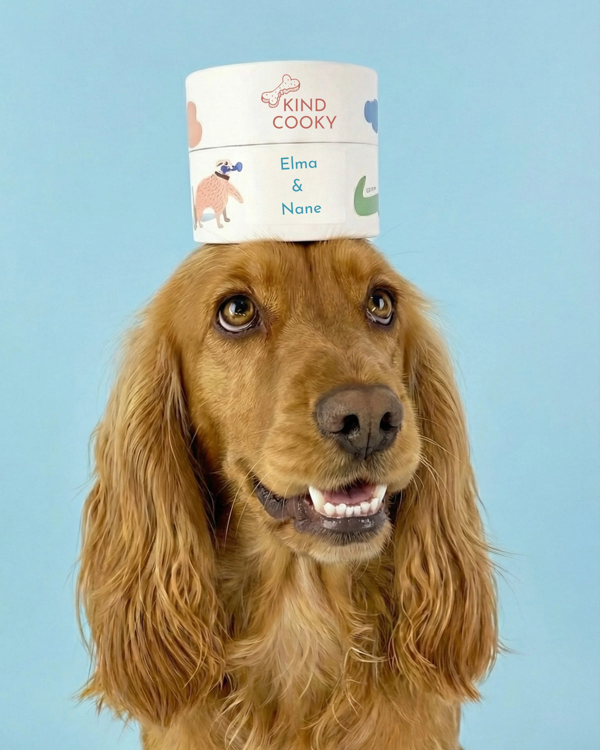 Elmalı ve Naneli Nefes Tazeleyici Vegan Köpek Ödülü Kind Cooky Mis Nefes