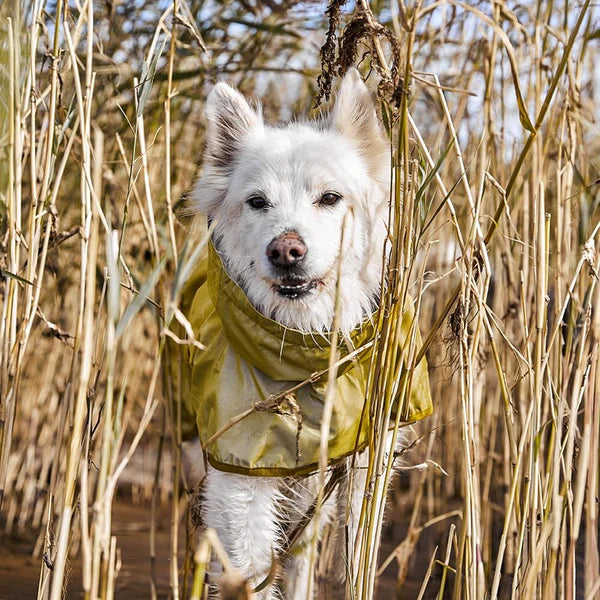 Hurtta Mudventure Reflektör Köpek Montu image 7