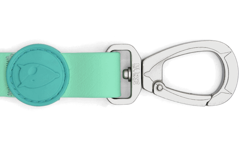 Waterproof (Su Geçirmez) Gezdirme Kayışı Aquamarine image 1