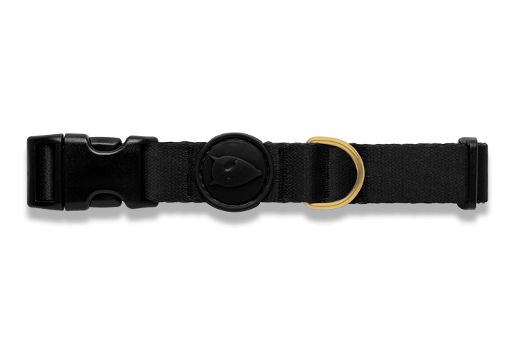 Gold Caviar Boyun Tasması image 1