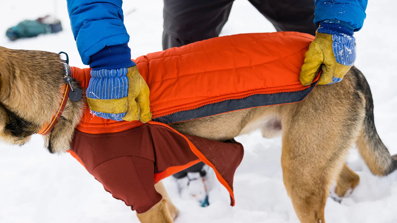 Ruffwear Powder Hound™ Köpek Montu image 6