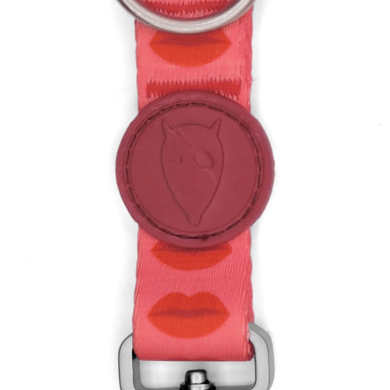 Lipstick Çok İşlevli Gezdirme İpi image 3