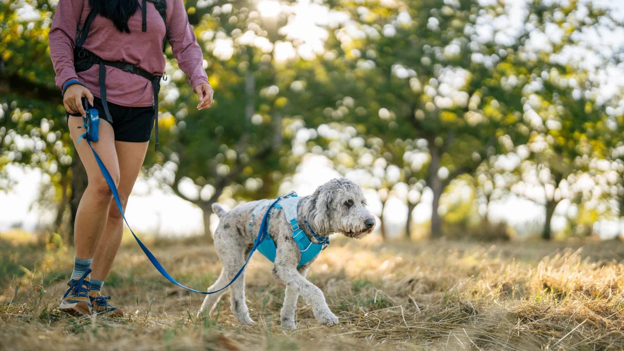 Ruffwear Swamp Soğutucu Göğüs Tasması image 6
