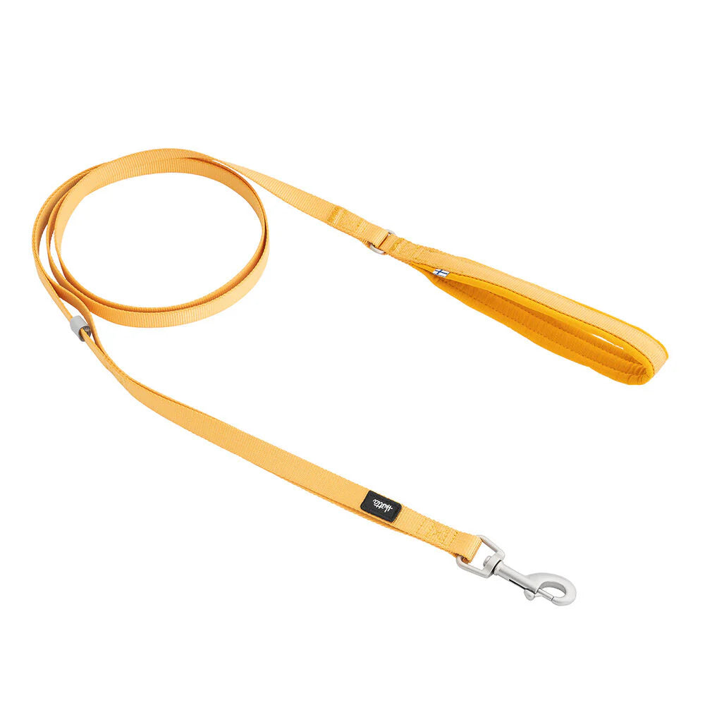 Seeker Standard Leash