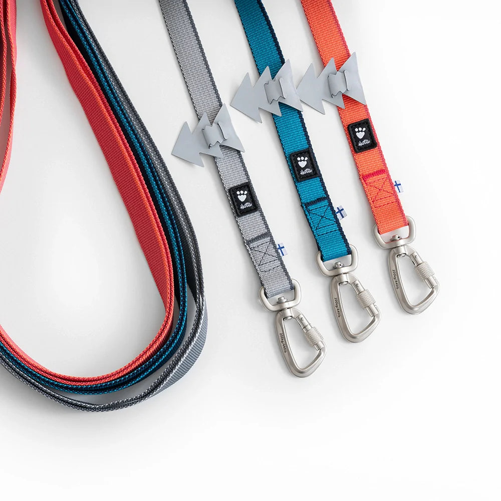 Multilong Leash II