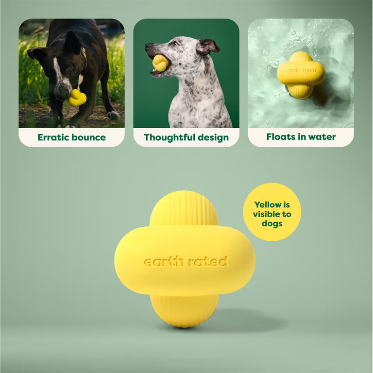 Zıplayan Kauçuk Getir Topu Earth Rated Fetch Toy