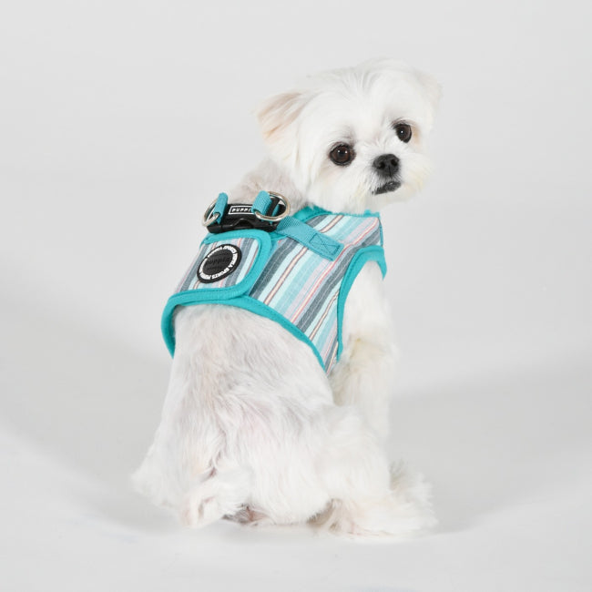 Puppia Theros Göğüs Tasması image 7