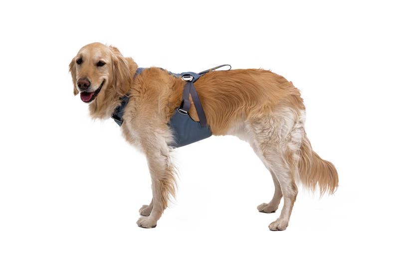 Ruffwear Load Up™ Car Harness image 4