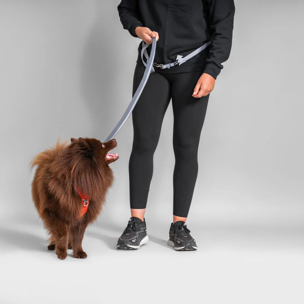Multilong Leash II