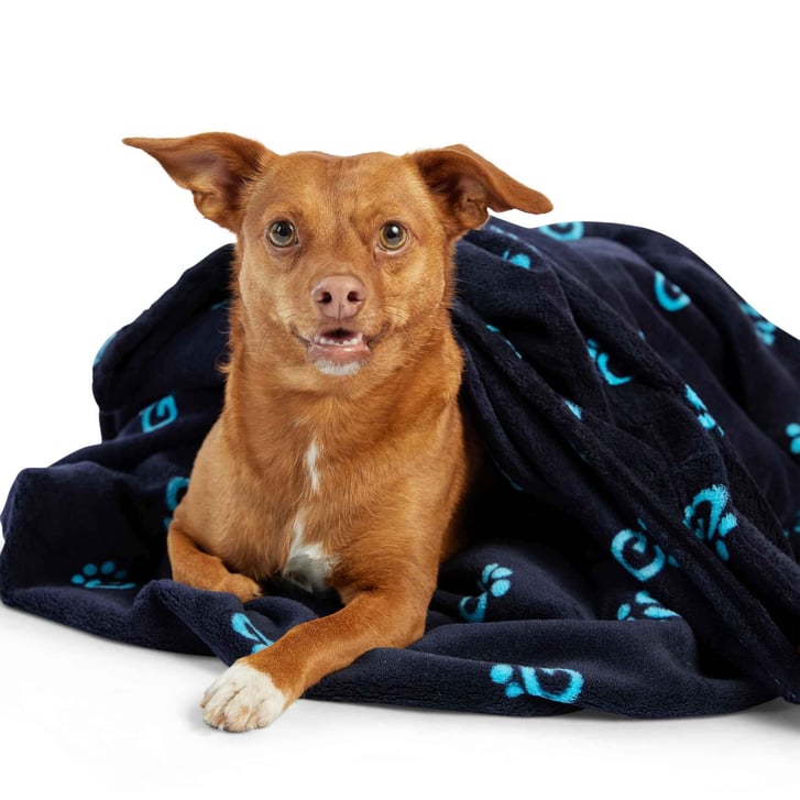 GF Pet Ekstra Yumuşak Köpek ve Kedi Battaniyesi (120 x 147cm) image 0