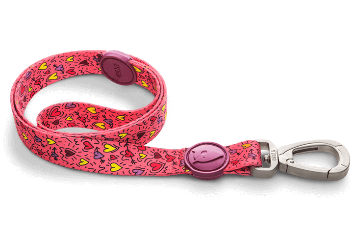 Pink Think Standart Gezdirme İpi image 0