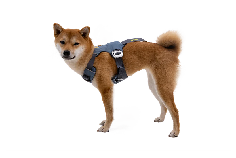 Ruffwear Load Up™ Car Harness image 5