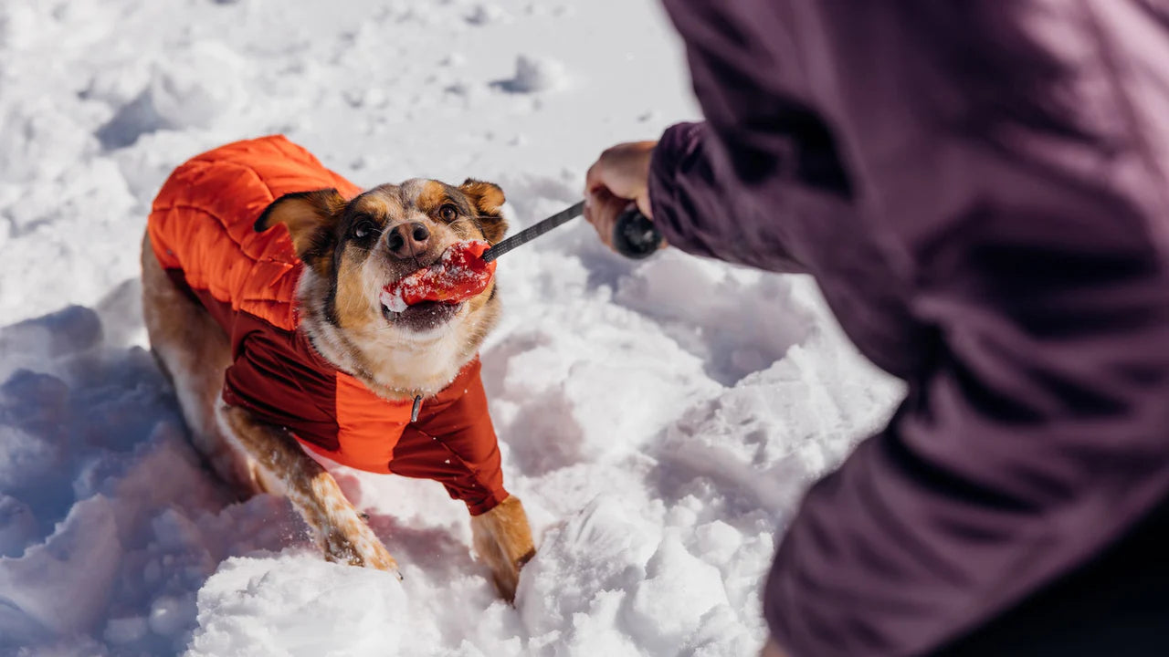 Ruffwear Huck-a-cone Köpek Oyuncağı image 6