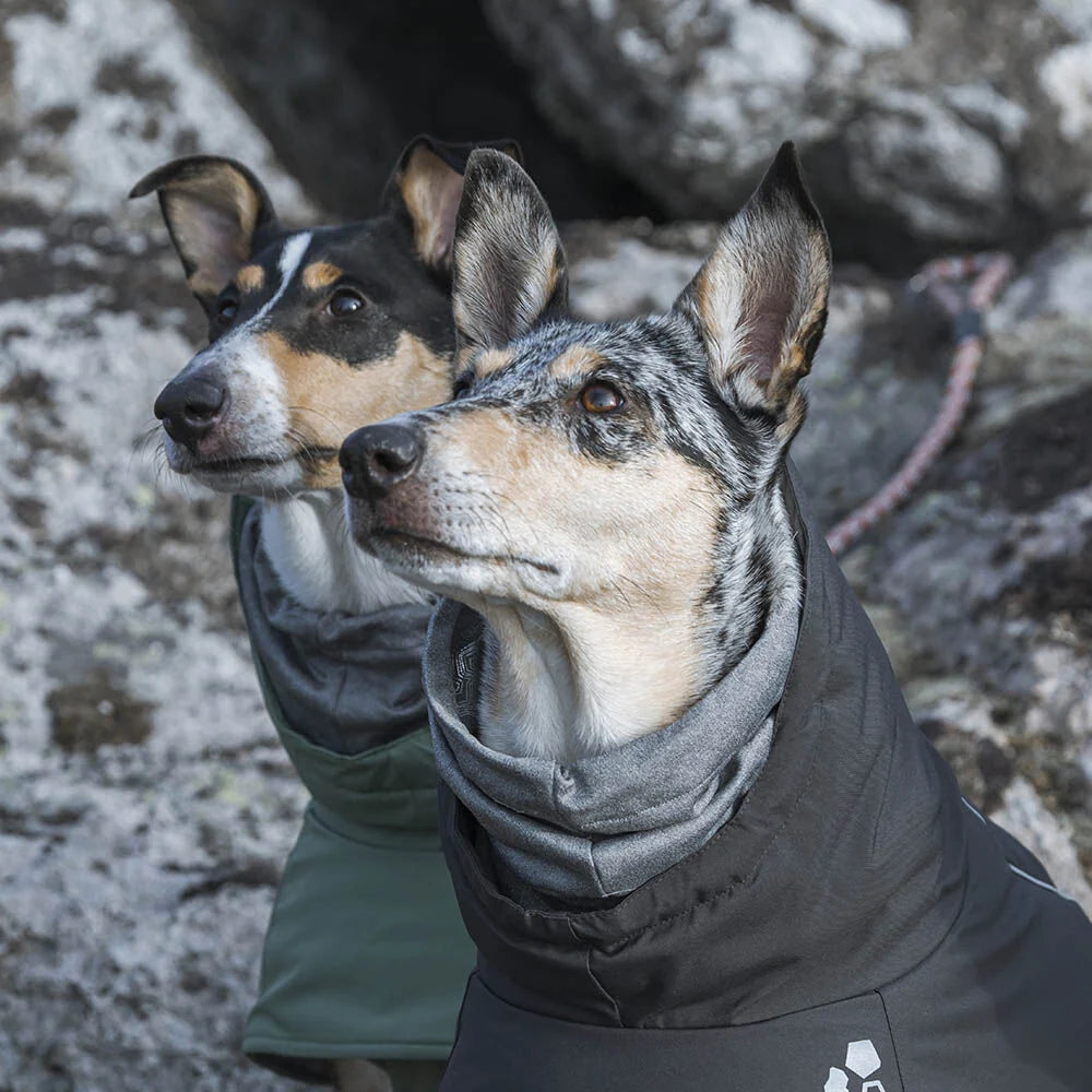 Hurtta Extreme Warmer Köpek Montu image 4