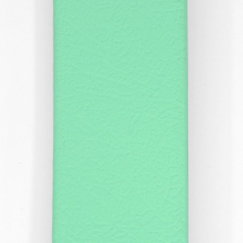 Waterproof (Su Geçirmez) Gezdirme Kayışı Aquamarine image 3
