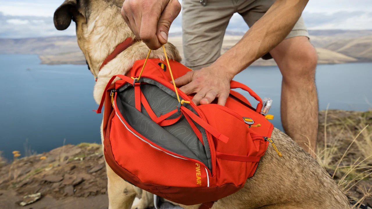 Ruffwear Palisades™ Köpek Sırt Çantası image 13