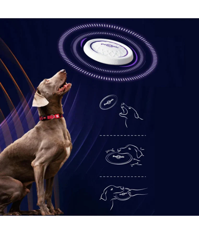 Gigwi Flying Disc Frizbi image 3