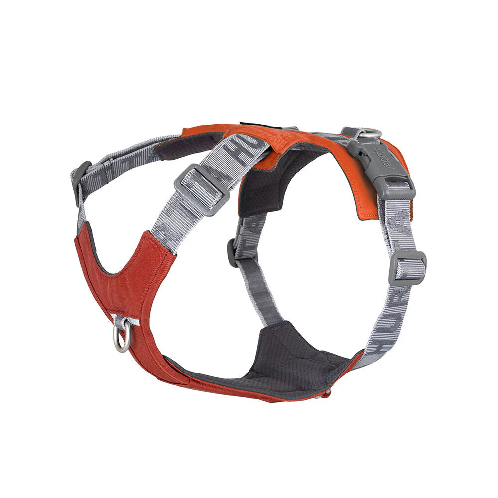 Rover Harness