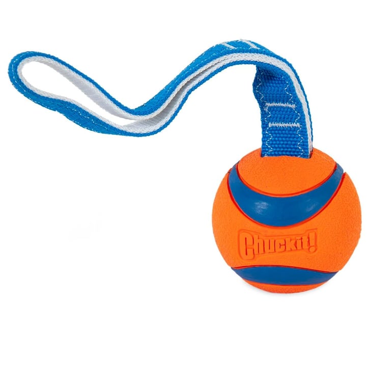 Chuckit! Air Fetch Ball Köpek Oyun Topu (XL Boy) image 3
