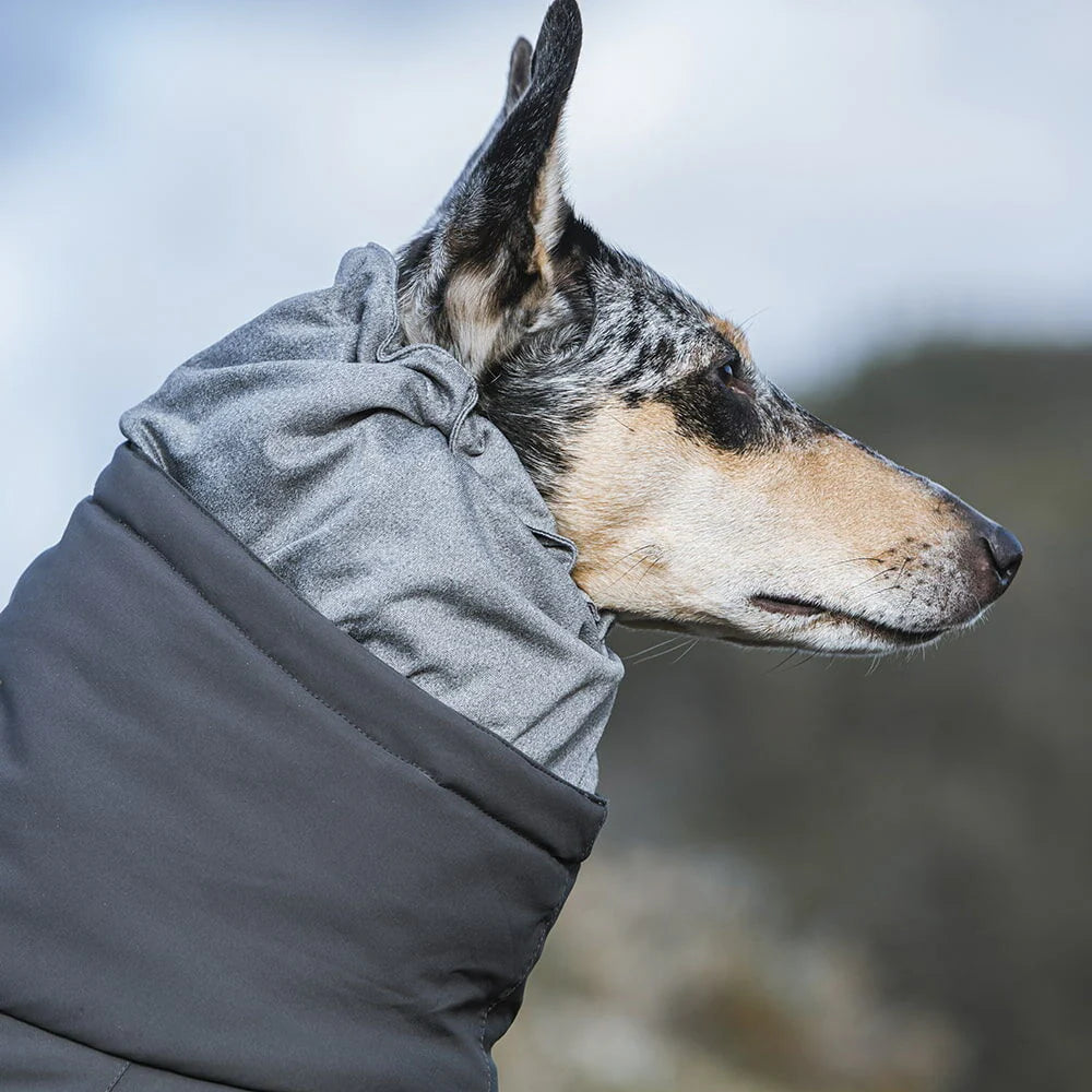 Hurtta Extreme Overall Köpek Tulumu image 1