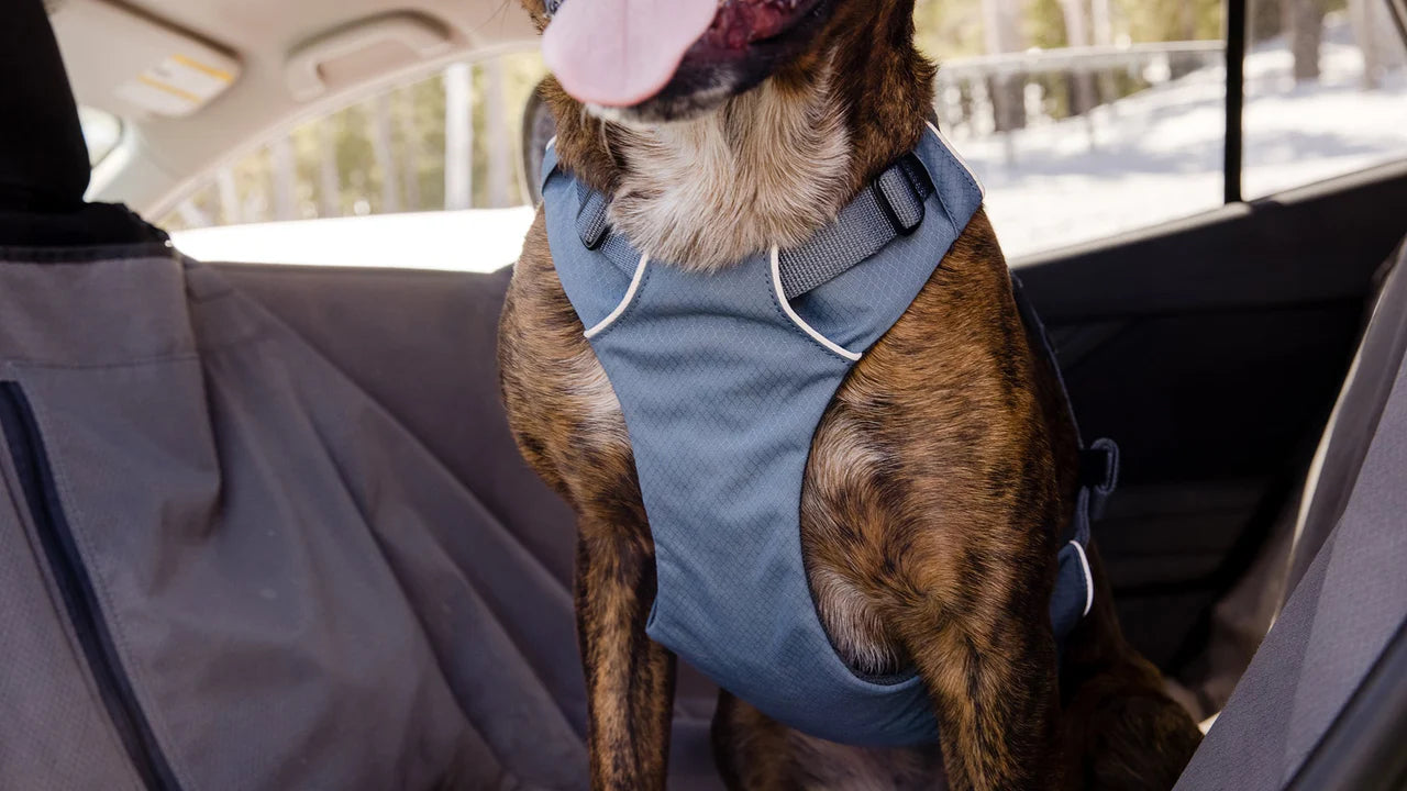 Ruffwear Load Up™ Car Harness image 7