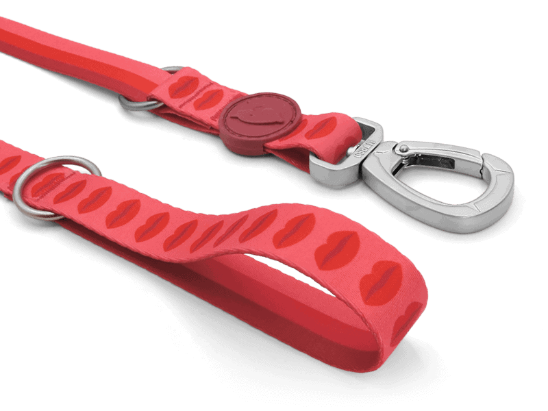 Lipstick Çok İşlevli Gezdirme İpi image 5