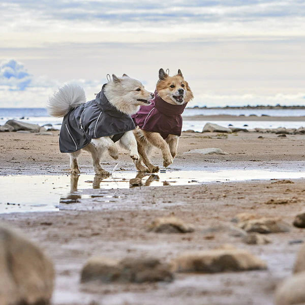 Hurtta Mudventure ECO Köpek Montu image 5