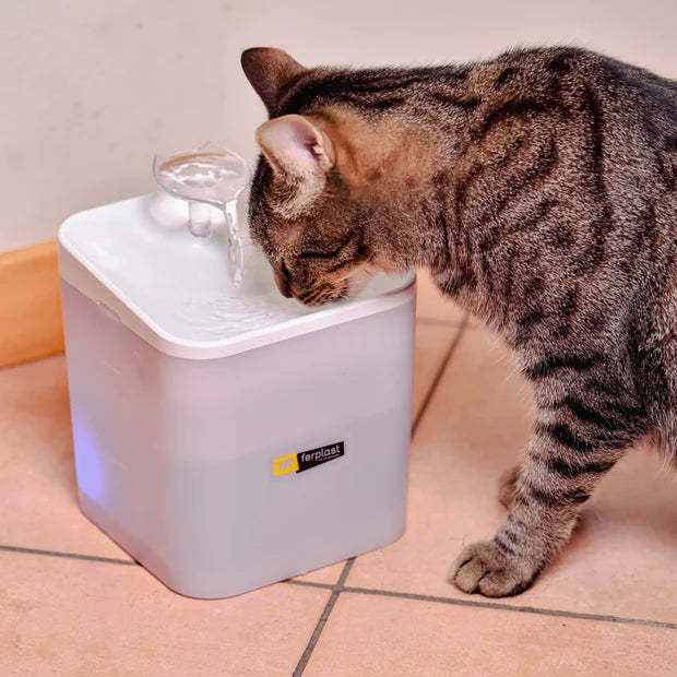 Ferplast Ares Kedi & Küçük Köpek İçin 3 Noktalı Otomatik Su Pınarı 2 L image 4
